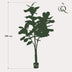 Artificial Plant Ficus Lyrata (Fiddle-Leaf Fig) 180 cm Bild 2