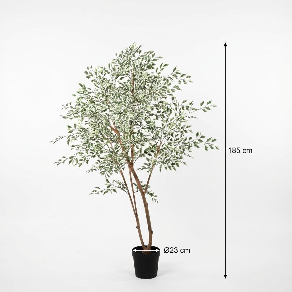 Kunst Ficus benjamina variegata - 185cm