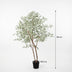 Kunst Ficus benjamina variegata 185cm - Künstliche Pflanze Bild 2