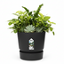 Elho Greenville Rund Topf Schwarz - D30 x H28 cm Bild 5
