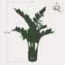 Künstliche Zamioculcas Zimmerpalme, 70 cm Bild 2