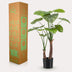 Kunstpflanze – Alocasia – Elefantenohr – 110 cm Bild 5