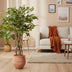 Künstliche Ficus Liane (Geigenblattpflanze) – 140 cm – Realistisch & Elegant Bild 4