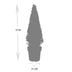 Ilex Pyramid 55 cm high | Evergreen Potted Plant Bild 3