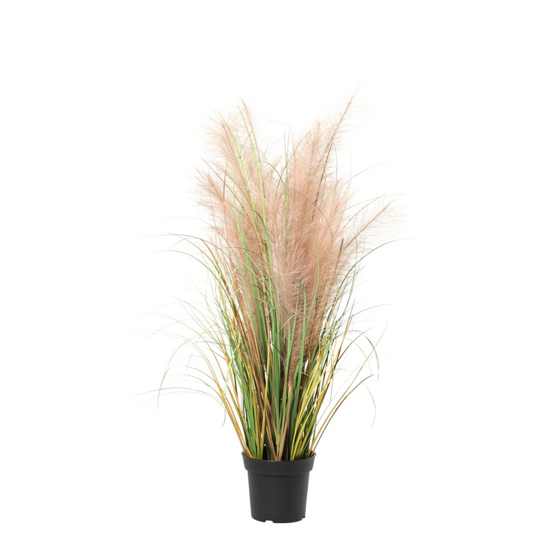 Kunst Phragmites Gras - 95cm