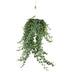 Hedera Helix Pitsburg - Hang/XXL - Ø24cm - ↕cm Bild 1