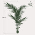 Kentia Palm Artificial Plant 150cm – Tropical Flair Without the Maintenance Bild 2