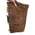 GreenboutiQ Sedummatte: 10 Sorten, winterhart, pflegeleicht, 50x30cm Bild 4