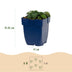 Green boutiQ - Stauden - Geranium sang. Max Frei - Storchschnabel - Bodendecker - Rosa - 1 Pflanze - Topf 11cm - Höhe 15-25cm Bild 3