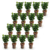 Green boutiQ - 16x Euonymus japonica Green Spire - Pfaffenhütchen - Heckenpflanzen - Immergrün - Grün - Topf 9cm - Höhe 20-25cm Bild 2