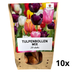 KH Bloembollen Tulpenmix: 10x20 Zwiebeln, Blütezeit Frühling Bild 1