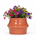 Kolibri Home Clay Übertopf - Terracotta - Ø6 cm Bild 2