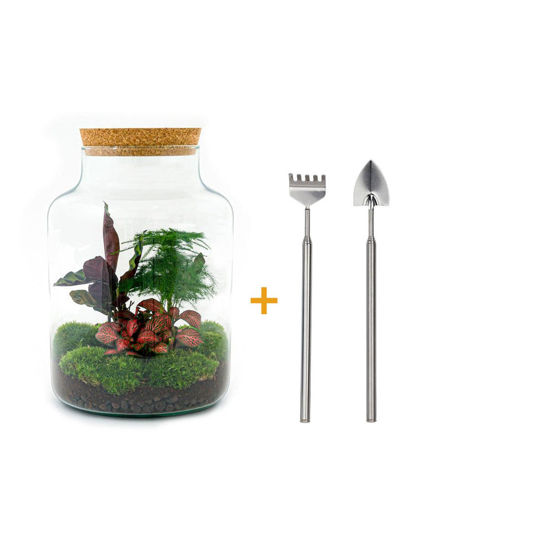 Bottle Garden - Milky - ↕ 30 cm - Rake + Shovel