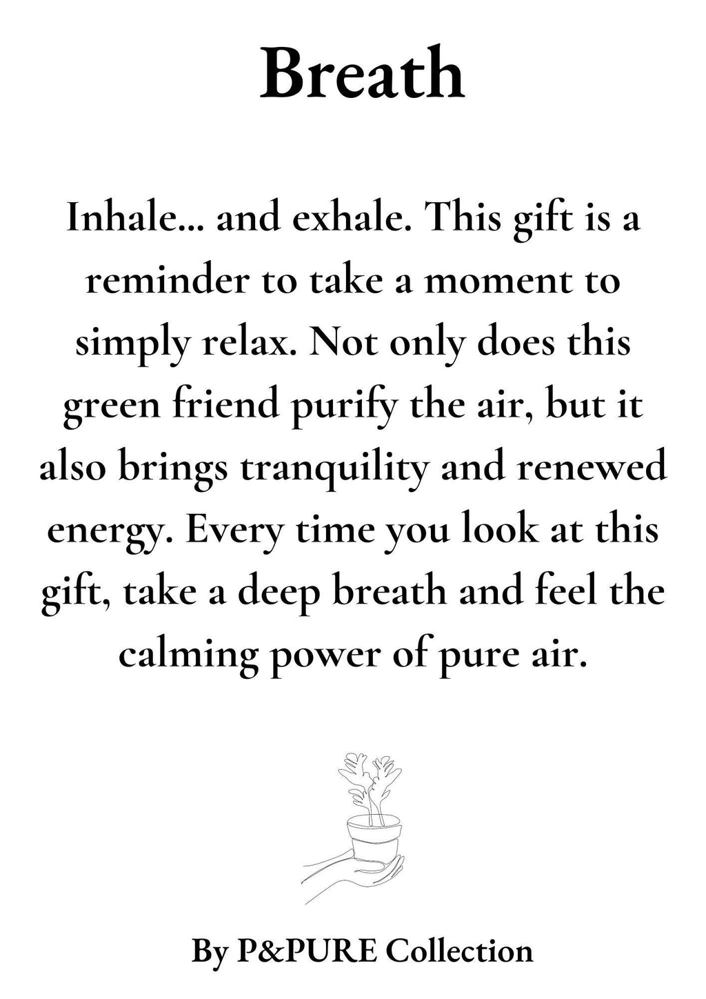 Nephrolepis Green Lady Gift "Breath" WITH GREETING CARD! - Ø12cm - ↕35cm