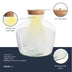 Fat Joe Terrarium-Flasche mit LED-Beleuchtung, Ø 29 cm, H 30 cm Bild 4