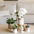 Kolibri Company | White Bamboo Plant Set | White Amabilis Orchid Ø9cm + Green Plant incl. Ceramic Pots Bild 3