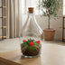 DIY Love Terrarium: Heart Plant & Succulents in Glass Bild 5