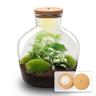 Flaschengarten 'Fat Joe grün' DIY-Pflanzterrarium, 30 cm, ohne Werkzeuge