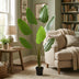 Künstliche Strelitzia Nicolai 170cm – Tropisches Flair ohne Aufwand Bild 5
