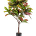 Künstlicher Croton Codiaeum 'Wunderstrauch' 120 cm Bild 1