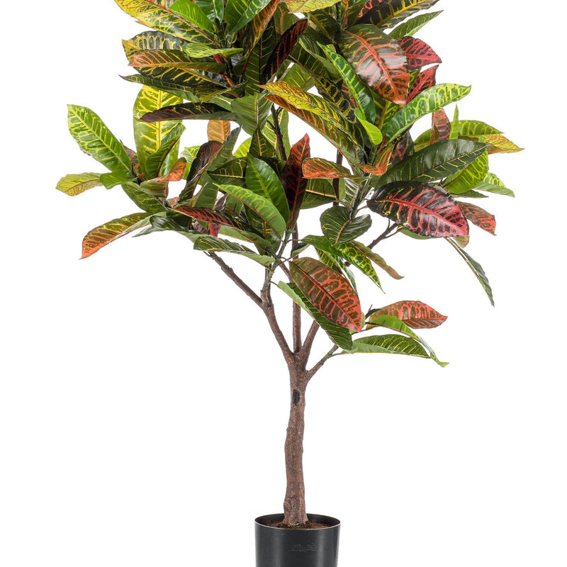 Künstlicher Croton Codiaeum 'Wunderstrauch' 120 cm