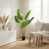 Künstliche Strelitzia Nicolai 135cm - Tropisches Flair ohne Pflege Bild 5