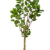 Artificial plant Polyscias Aralia, 150 cm – Natural decoration without effort Bild 1