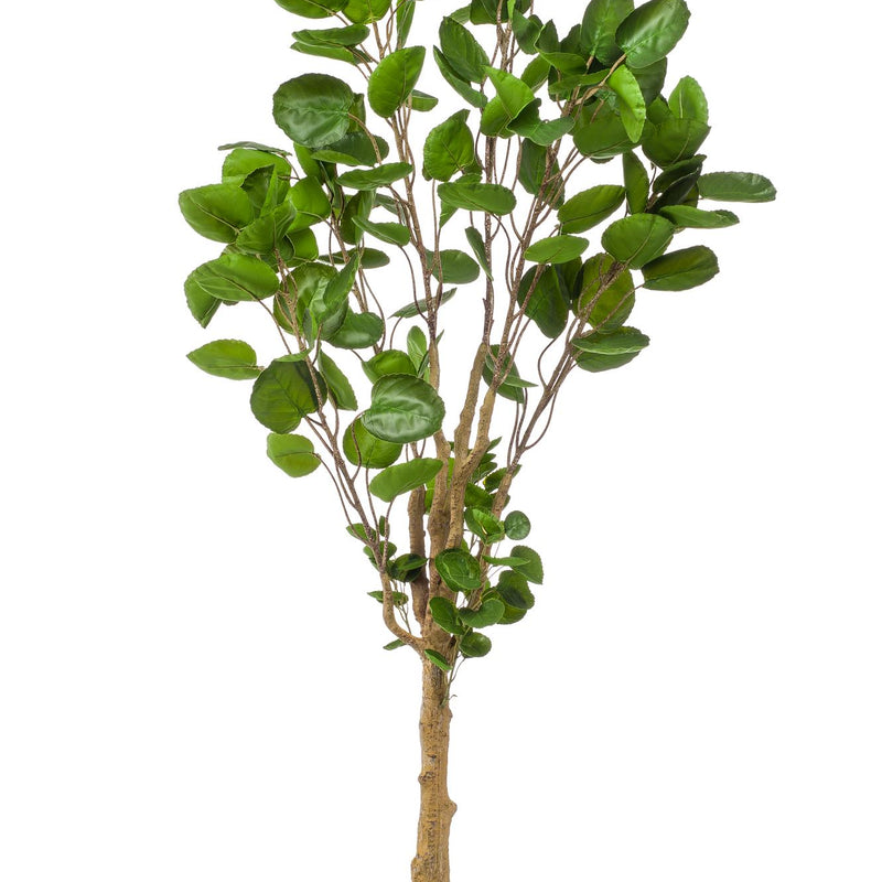 Artificial plant Polyscias Aralia, 150 cm – Natural decoration without effort