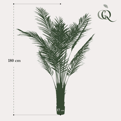 Kunstpflanze Goldpalme Areca Lutescens, 180 cm - Immergrüner Tropen-Look