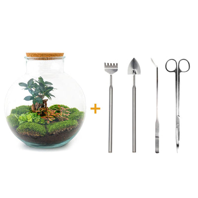 Flaschengarten DIY Set: Bolder Bob Bonsai mit Werkzeug & Pflanzen