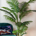 Künstliche Howea Forsteriana Palme 160 cm – Indoor-Paradies Bild 5