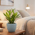 Runder Keramik Blumentopf Matt Mintgrün 7,5 cm – Stilvoll & Vielseitig Bild 2