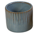 Linnea Misty Blue: Zauberhafte Glockenblume für Ihr Zuhause Bild 1