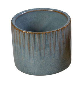 Linnea Misty Blue: Zauberhafte Glockenblume für Ihr Zuhause