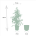 Ficus Benjamina Golden King, Ø21cm, ↕95cm, incl. Mayk Gold Pot Bild 2