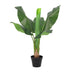 KÜNSTLICHE Bananenpflanze Musa - 80 cm Bild 1
