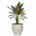 Pot Poseidon Chalk White - D42 x H38 cm Bild 3