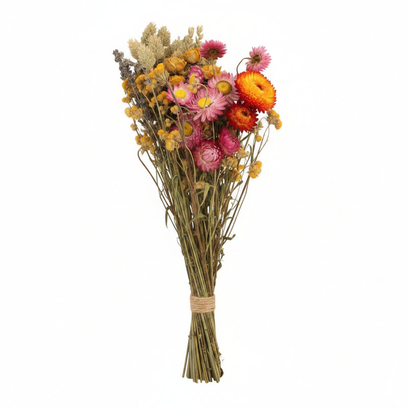 8x Feldstrauß Multi - Trockenblumenstrauß - 50cm - Ø20