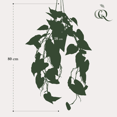 Künstliche Philodendron Hängepflanze - 80 cm - Pflegeleicht & Realistisch