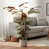 Calathea Oppenheimiana Pflanze – 130 cm – ø27 cm Topf Bild 3