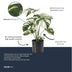 Artificial Potted Monstera, 40cm - Easy-Care Decorative Plant Bild 2