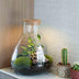 'LOVE MOM' Terrarium Sam + gravierter Kork mit Licht - Flaschengarten DIY Set - Ø 24.5 cm ↑ 30 cm - Muttertag Bild 5