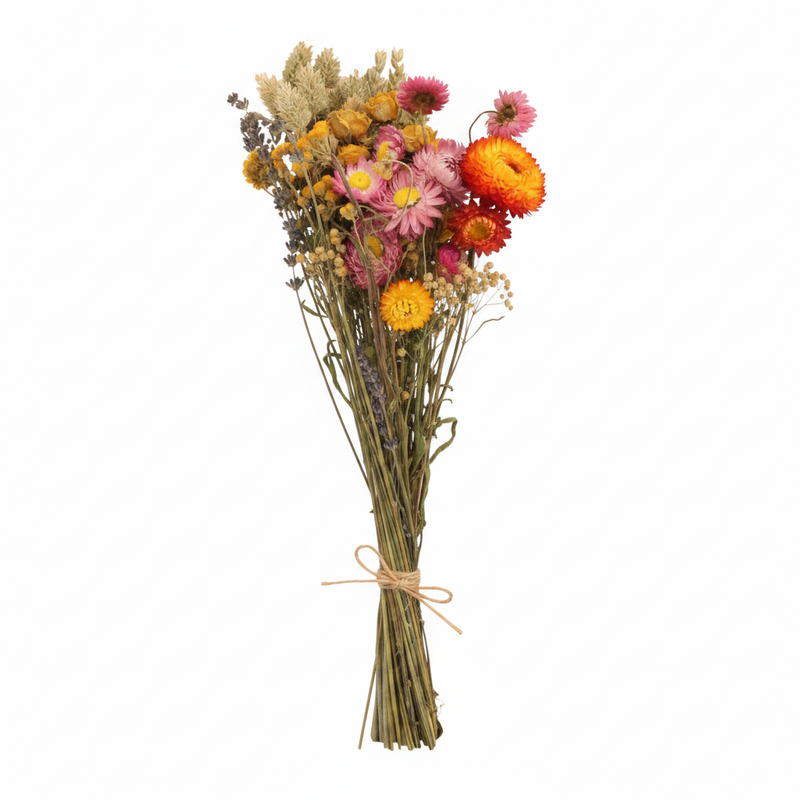 Trockenblumen Feldblumenstrauß Multi, Ø15cm, ↕35cm, Bunt