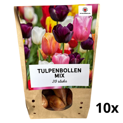 Tulpen Mix - 10 Beutel mit je 20 Stück pro Beutel - Bunter Tulpenmix – Perfekt für Garten oder Topf