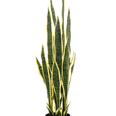 Kunstpflanze Sansevieria Trifasciata (Frauenzunge), 97 cm
