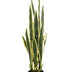 Kunstpflanze Sansevieria Trifasciata (Frauenzunge), 97 cm Bild 1