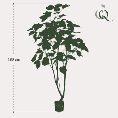 Künstlicher Ficus umbellata (Afrikanische Feige), 180 cm