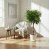 Ficus Amstel King mit geflochtenem Stamm - 130cm Bild 3