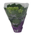 Endlose Hortensie 'Wit' - Ø14cm - ↕35cm, Blühende Zimmerpflanze Bild 2