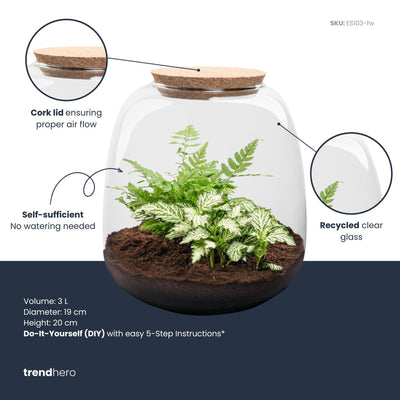 Pflanzenterrarium Emma Mini DIY-Kit mit Fittonia White Tiger